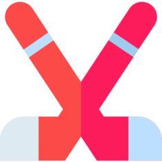 Ice hockey