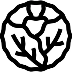 卷心菜