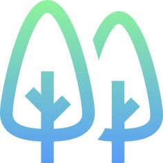 Pine