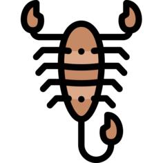 蝎