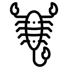 蝎