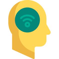 Brain