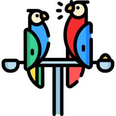 Parrot