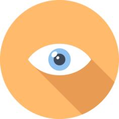 Vision