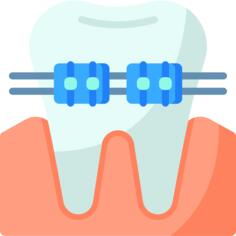 Brace
