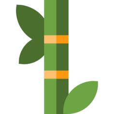 Bamboo