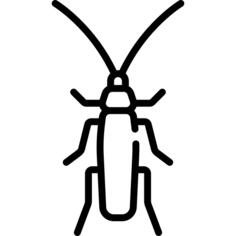 Cockroach