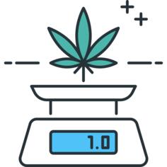 Marijuana
