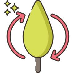 造林