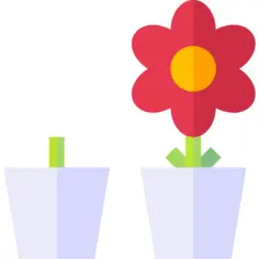 开花