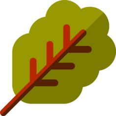 Leaf