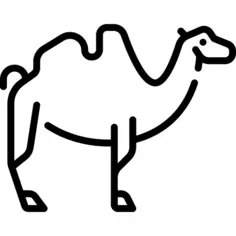 骆驼