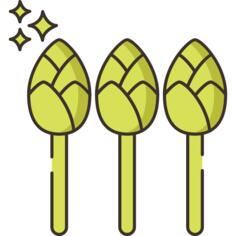 Asparagus
