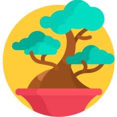 Bonsai
