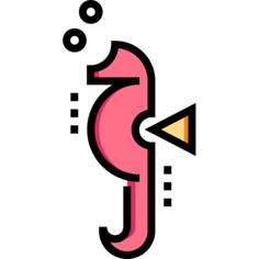 海马