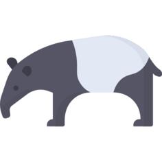 Tapir