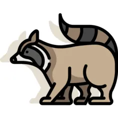 狸