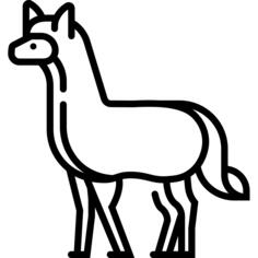 羊驼