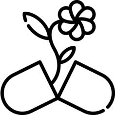 丸