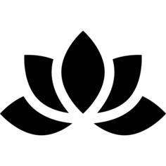 莲花