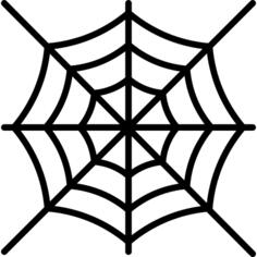 Spider web