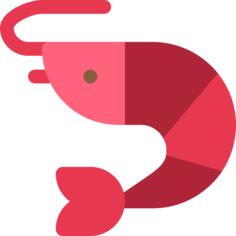 Shrimp