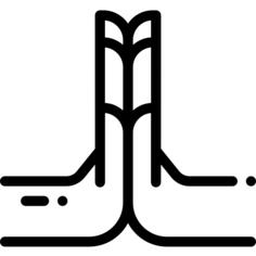 Namaste