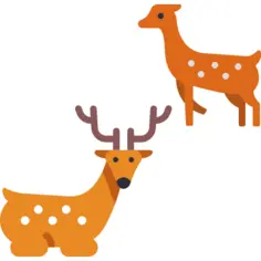 Deer