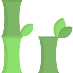 Bamboo