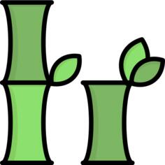 Bamboo