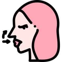 Nose