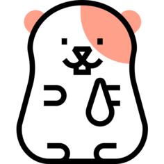 仓鼠