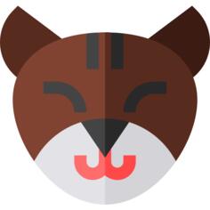猫