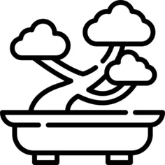 Bonsai