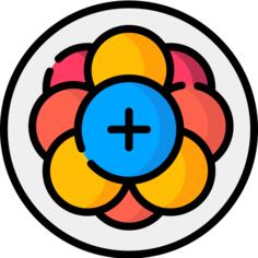 中子