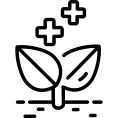 造林