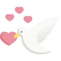 鸽子