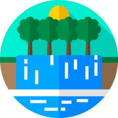 雨林