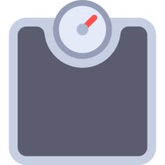 Scale
