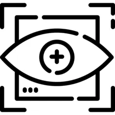 Vision