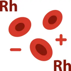 Blood