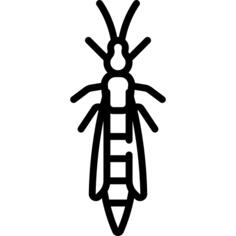 Bug