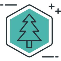 Pine