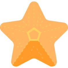 海星