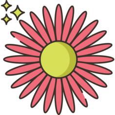 雏菊