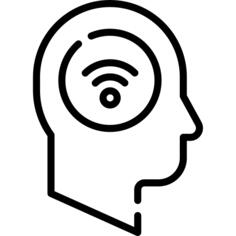Brain
