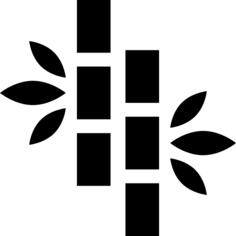 Bamboo