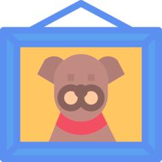 Pet