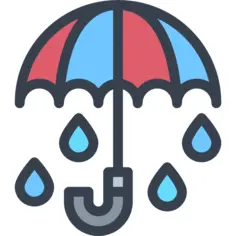 雨伞