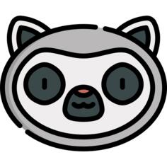狐猴
